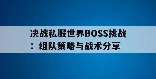 决战私服世界BOSS挑战：组队策略与战术分享